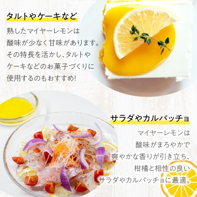 ≪期間限定≫都農町産さくらレモン(マイヤーレモン)計2kg フルーツ 果物_T002-003