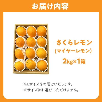 先行受付≪期間限定≫都農町産さくらレモン(マイヤーレモン)計2kg フルーツ 果物_T002-003