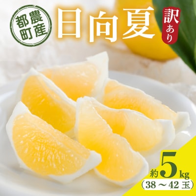 都農町産「訳あり日向夏(約5kg)」 フルーツ 果物 柑橘 国産_T008-004