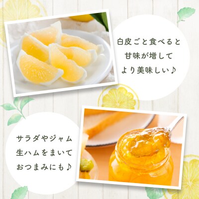 ≪先行予約≫都農町産「訳あり日向夏(約5kg)」 フルーツ 果物 柑橘 国産_T008-004