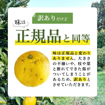 ≪先行予約≫都農町産「訳あり日向夏(約5kg)」 フルーツ 果物 柑橘 国産_T008-004