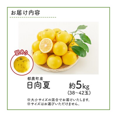 ≪先行予約≫都農町産「訳あり日向夏(約5kg)」 フルーツ 果物 柑橘 国産_T008-004