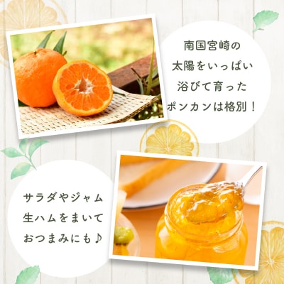 ≪期間限定≫都農町産「ポンカン(Mサイズ)」約5kg フルーツ 柑橘 国産_T008-005