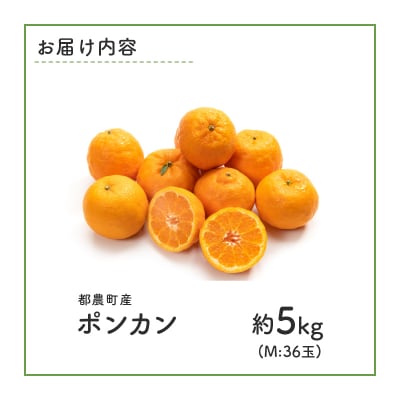 先行受付≪期間限定≫都農町産「ポンカン(Mサイズ)」約5kg フルーツ 柑橘 国産_T008-005
