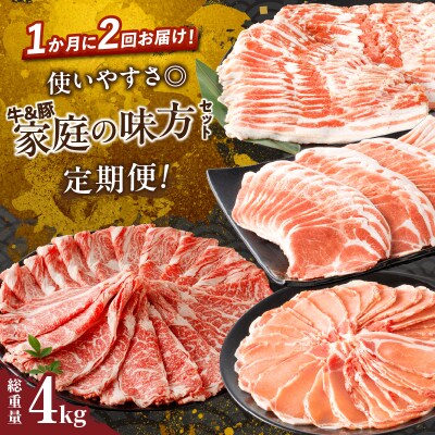 ≪定期便≫＼1か月に2回お届け!!/家庭の味方セット【総重量4kg】_T030-148