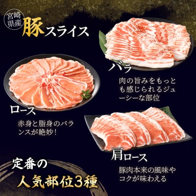 ≪定期便≫＼1か月に2回お届け!!/家庭の味方セット【総重量4kg】_T030-148