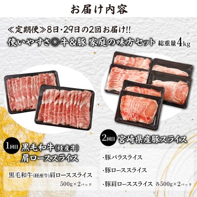 ≪定期便≫＼1か月に2回お届け!!/家庭の味方セット【総重量4kg】_T030-148