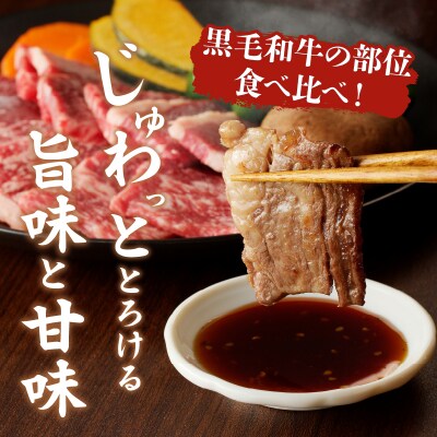 ≪定期便≫＼1か月に2回お届け!!/よくばり焼肉セット【総重量1.8kg】_T030-163