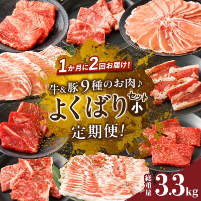 ≪定期便≫＼1か月に2回お届け!!/よくばりセット(小)【総重量3.3kg】_T030-150