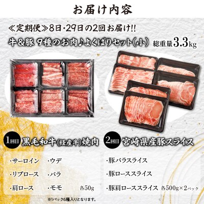 ≪定期便≫＼1か月に2回お届け!!/よくばりセット(小)【総重量3.3kg】_T030-150