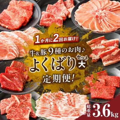 ≪定期便≫＼1か月に2回お届け!!/よくばりセット(大)【総重量3.6kg】_T030-151