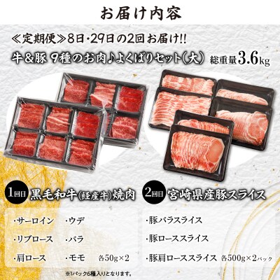 ≪定期便≫＼1か月に2回お届け!!/よくばりセット(大)【総重量3.6kg】_T030-151
