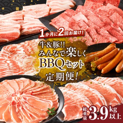 ≪定期便≫＼1か月に2回お届け!!/BBQセット【総重量3.9kg以上】_T030-156