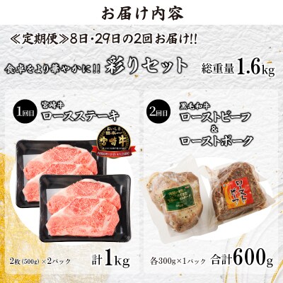≪定期便≫＼1か月に2回お届け!!/彩りセット【総重量1.6kg】_T030-161
