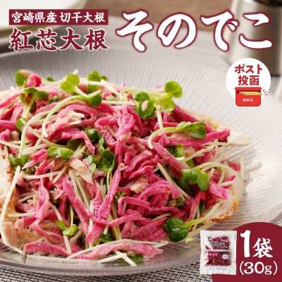 【2週間以内発送】＼ポスト投函/≪宮崎県産≫切干大根(紅芯大根-そのでこ-)計1袋_T003-010