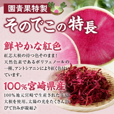 【2週間以内発送】＼ポスト投函/≪宮崎県産≫切干大根(紅芯大根-そのでこ-)計1袋_T003-010