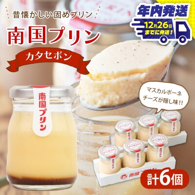 ＼年内発送!!/南国プリン「カタセボン(計6個)」 スイーツ_T038-0021-N