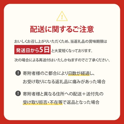 ＼年内発送!!/南国プリン「カタセボン(計6個)」 スイーツ_T038-0021-N