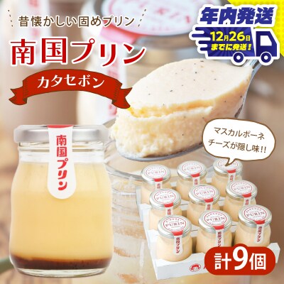 ＼年内発送!!/南国プリン「カタセボン(計9個)」 スイーツ 洋菓子 国産_T038-0031-N