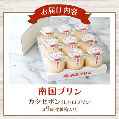 ＼年内発送!!/南国プリン「カタセボン(計9個)」 スイーツ 洋菓子 国産_T038-0031-N