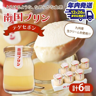 ＼年内発送!!/南国プリン「テゲセボン(計6個)」 スイーツ_T038-0041-N