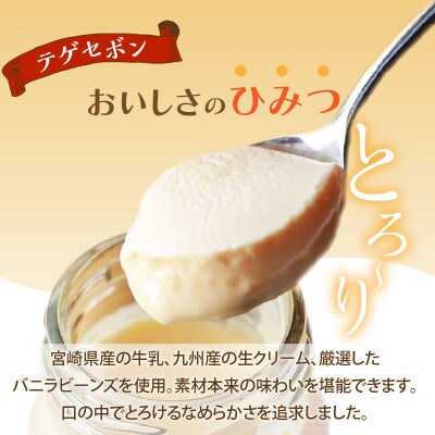 ＼年内発送!!/南国プリン「テゲセボン(計6個)」 スイーツ_T038-0041-N