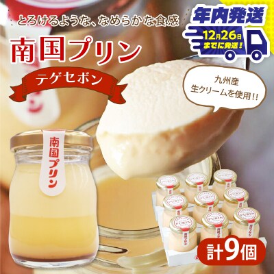 ＼年内発送!!/南国プリン「テゲセボン(計9個)」 スイーツ 洋菓子 国産_T038-0051-N