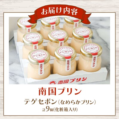南国プリン「テゲセボン(計9個)」 スイーツ 洋菓子 国産_T038-0051