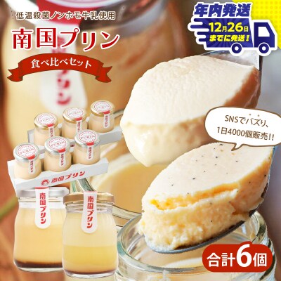 ＼年内発送!!/南国プリン食べ比べセット(合計6個) スイーツ 洋菓子_T038-0081-N