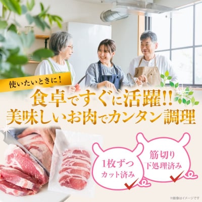 ≪宮崎ブランドポーク≫ロース(トンテキ・とんかつ用)計1kg 肉 豚 豚肉 国産_T023-0111