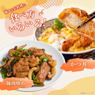 ≪宮崎ブランドポーク≫ロース(トンテキ・とんかつ用)計1.5kg_T023-0121