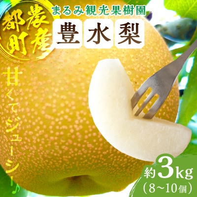 先行受付≪期間限定≫まるみ観光果樹園の『豊水梨』(約3kg) 果物 フルーツ _T036-001