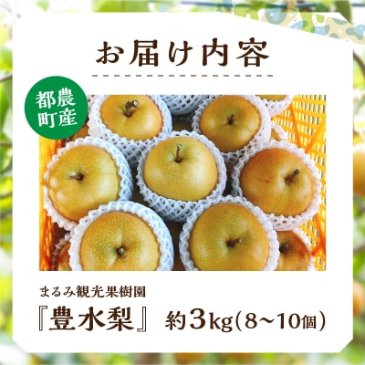 先行受付≪期間限定≫まるみ観光果樹園の『豊水梨』(約3kg) 果物 フルーツ _T036-001