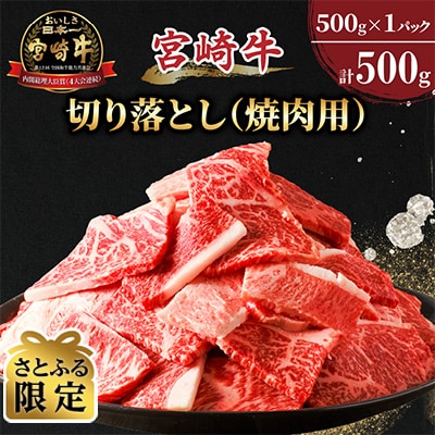 【さとふる限定】宮崎牛切り落とし(焼肉用)計500g_T030-081-S