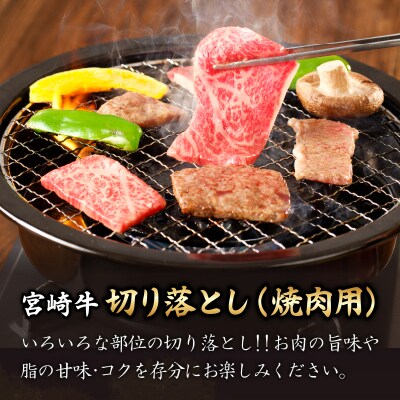 【さとふる限定】宮崎牛切り落とし(焼肉用)計500g_T030-0813-S