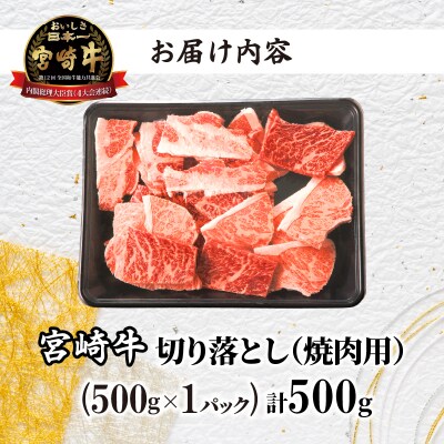 【さとふる限定】宮崎牛切り落とし(焼肉用)計500g_T030-0813-S