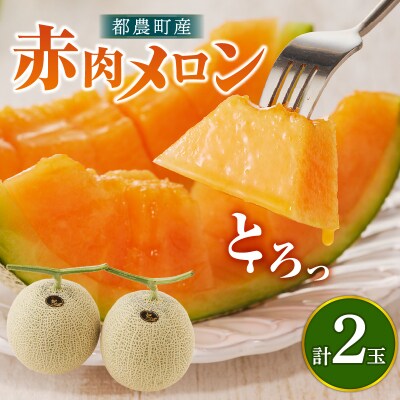 先行受付≪期間限定≫都農町産「赤肉メロン」計2玉 フルーツ 果物 デザート_T015-006-N | ふるさと納税のお礼品