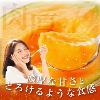 ≪期間限定≫都農町産「赤肉メロン」計2玉 フルーツ 果物 デザート_T015-006-N