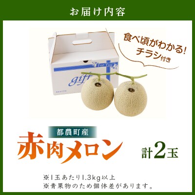 ≪期間限定≫都農町産「赤肉メロン」計2玉 フルーツ 果物 デザート_T015-006-N