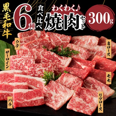 生産者応援≪訳あり≫黒毛和牛(経産牛)6種焼肉セット(合計300g)_T030-119