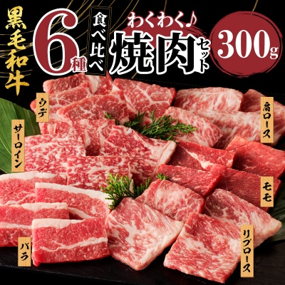 生産者応援≪訳あり≫黒毛和牛(経産牛)6種焼肉セット(合計300g) 肉 牛_T030-1193
