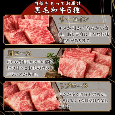 生産者応援≪訳あり≫黒毛和牛(経産牛)6種焼肉セット(合計300g) 肉 牛_T030-1193