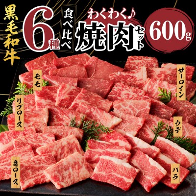 生産者応援≪訳あり≫黒毛和牛(経産牛)6種焼肉セット(合計600g) 肉 牛_T030-1203