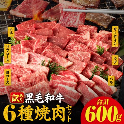 生産者応援≪訳あり≫黒毛和牛(経産牛)6種焼肉セット(合計600g) 肉 牛_T030-1203