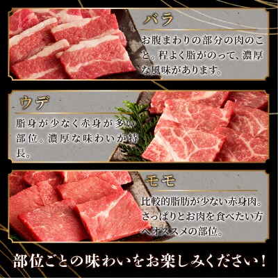 生産者応援≪訳あり≫黒毛和牛(経産牛)6種焼肉セット(合計600g) 肉 牛_T030-1203