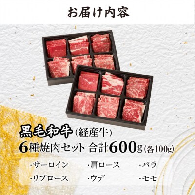 生産者応援≪訳あり≫黒毛和牛(経産牛)6種焼肉セット(合計600g) 肉 牛_T030-1203