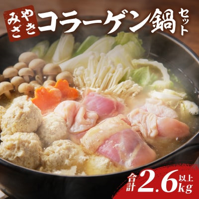 コラーゲン鍋セット(合計2.6kg以上) 肉 鶏_T017-0051