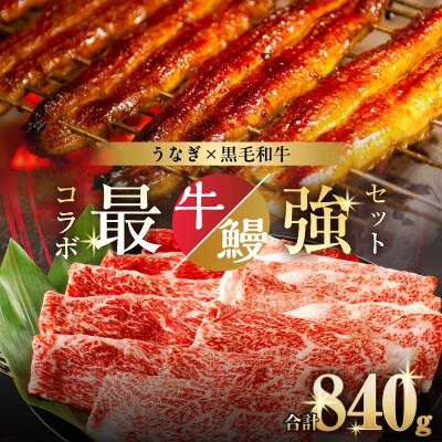 ≪数量限定≫うなぎ×黒毛和牛 都農町最強セットB 肉 牛 牛肉 おかず 国産_T030-1303