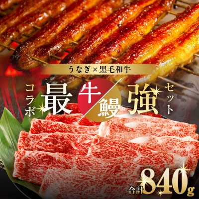 ≪数量限定≫うなぎ×黒毛和牛 都農町最強セットB 肉 牛 牛肉 おかず 国産_T030-1303
