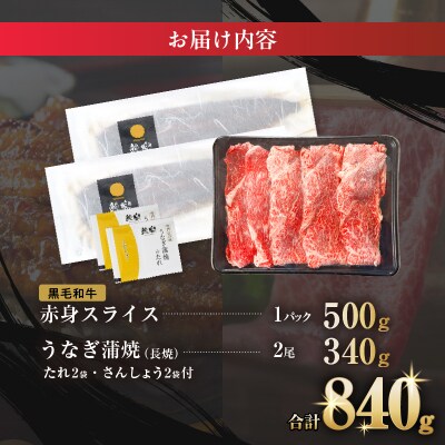 ≪数量限定≫うなぎ×黒毛和牛 都農町最強セットB 肉 牛 牛肉 おかず 国産_T030-1303